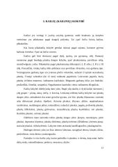  Kailiai ir jų gaminiai 12 puslapis