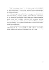  Kailiai ir jų gaminiai 13 puslapis