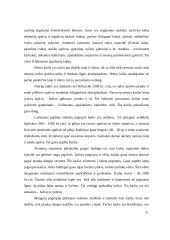  Kailiai ir jų gaminiai 4 puslapis