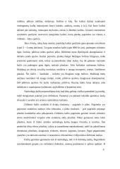  Kailiai ir jų gaminiai 6 puslapis