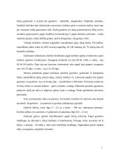  Kailiai ir jų gaminiai 7 puslapis