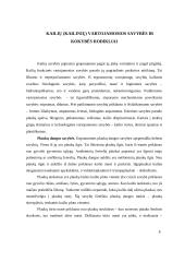  Kailiai ir jų gaminiai 8 puslapis