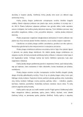  Kailiai ir jų gaminiai 9 puslapis