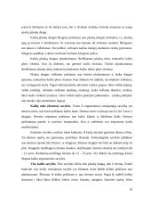  Kailiai ir jų gaminiai 10 puslapis