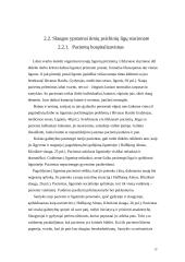 Sergančių ūmiomis psichinėmis ligomis slaugos ypatumai 12 puslapis