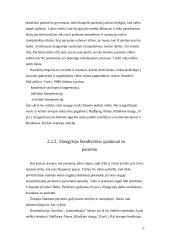 Sergančių ūmiomis psichinėmis ligomis slaugos ypatumai 14 puslapis