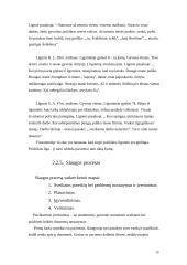 Sergančių ūmiomis psichinėmis ligomis slaugos ypatumai 19 puslapis