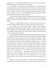 Vaizdinės haliucinacijos 11 puslapis