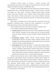 Vaizdinės haliucinacijos 13 puslapis
