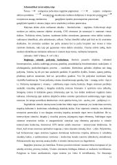 Vaizdinės haliucinacijos 14 puslapis