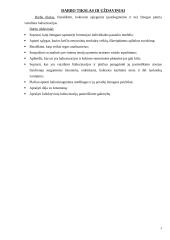 Vaizdinės haliucinacijos 3 puslapis