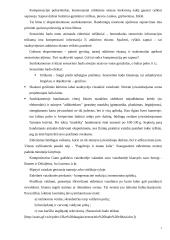 Vaizdinės haliucinacijos 7 puslapis