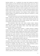 Vaizdinės haliucinacijos 10 puslapis