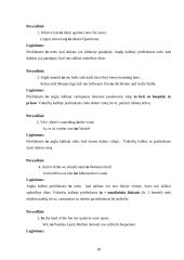 Vietos prielinksnių vartojimas anglų ir vokiečių kalbose 15 puslapis