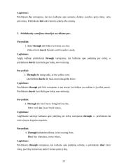 Vietos prielinksnių vartojimas anglų ir vokiečių kalbose 20 puslapis