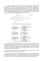 Vilniaus oro uosto radionavigacinė įranga 4 puslapis