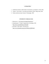 M. Weberio biurokratijos teorija 14 puslapis