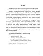 M. Weberio biurokratijos teorija 3 puslapis