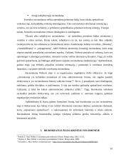 M. Weberio biurokratijos teorija 10 puslapis