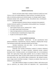 Nežodinis bendravimas, kūno kalba ir  vadovavimas 2 puslapis