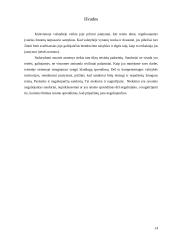 Niekiniai ir nuginčijamieji sandoriai 13 puslapis