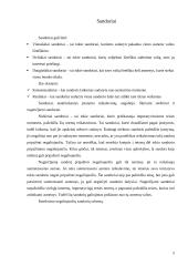 Niekiniai ir nuginčijamieji sandoriai 4 puslapis