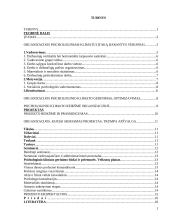 Psichologinis klimatas organizacijoje ir jo gerinimo būdai 2 puslapis