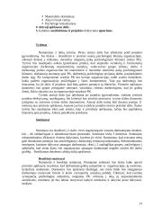 Psichologinis klimatas organizacijoje ir jo gerinimo būdai 14 puslapis