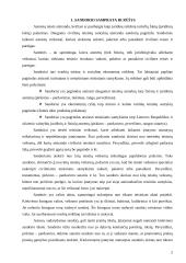 Sandorio samprata ir rūšys 2 puslapis