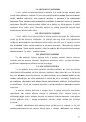 Sandorio samprata ir rūšys 11 puslapis