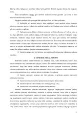 Sandorio samprata ir rūšys 12 puslapis