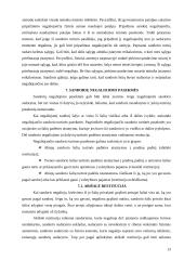 Sandorio samprata ir rūšys 13 puslapis