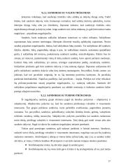 Sandorio samprata ir rūšys 17 puslapis