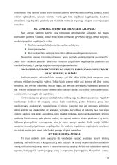 Sandorio samprata ir rūšys 19 puslapis