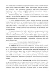 Sandorio samprata ir rūšys 7 puslapis