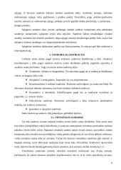 Sandorio samprata ir rūšys 8 puslapis