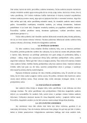 Sandorio samprata ir rūšys 9 puslapis