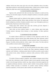 Sandorio samprata ir rūšys 10 puslapis