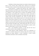 Dunios portretas F. Dostojevskio romane "Nusikaltimas ir bausmė" 2 puslapis