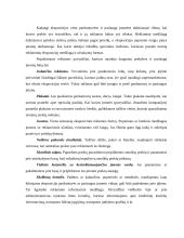 Reklamos vadyba. Smulki prekyba 2 puslapis