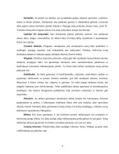 Reklamos vadyba. Smulki prekyba 4 puslapis