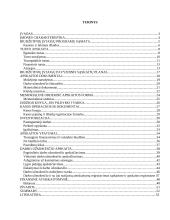 Biudžetinės įmonės