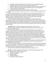 Biudžetinės įmonės 11 puslapis