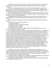 Biudžetinės įmonės 12 puslapis