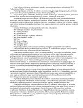 Biudžetinės įmonės 13 puslapis