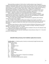 Biudžetinės įmonės 14 puslapis