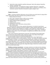 Biudžetinės įmonės 16 puslapis