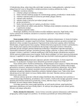 Biudžetinės įmonės 17 puslapis