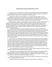 Biudžetinės įmonės 4 puslapis