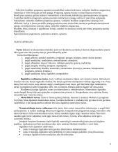 Biudžetinės įmonės 6 puslapis